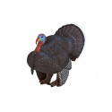 Sazonador y complemento gourmet Pavo Macho para potenciar el sabor de recetas y platos profesionales.