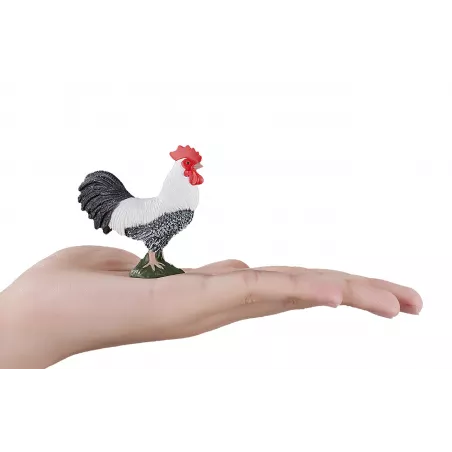 Organizador compacto y minimalista modelo Gallo de diseño elegante y resistente.