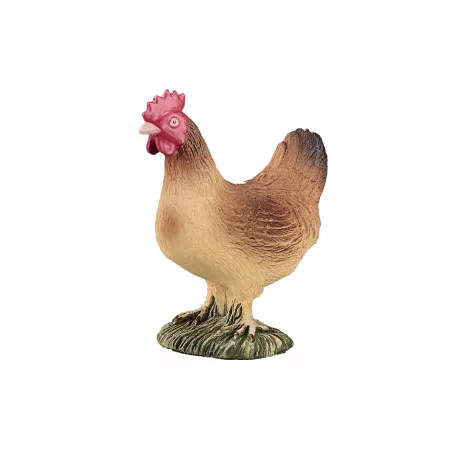 Mojo de Gallina tradicional en tarro, condimento gourmet para marinar carnes y realzar recetas cotidianas.