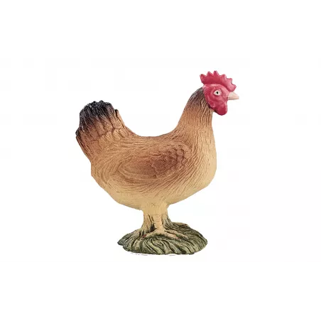 Mojo de Gallina tradicional en tarro, condimento gourmet para marinar carnes y realzar recetas cotidianas.
