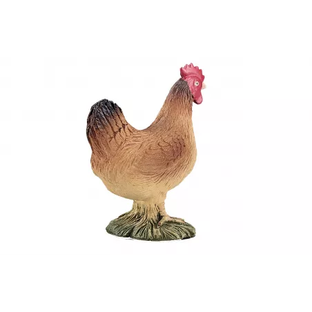 Mojo de Gallina tradicional en tarro, condimento gourmet para marinar carnes y realzar recetas cotidianas.