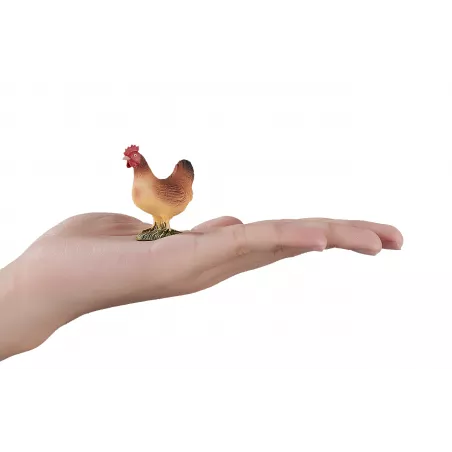 Mojo de Gallina tradicional en tarro, condimento gourmet para marinar carnes y realzar recetas cotidianas.