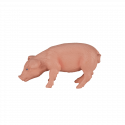 Figura decorativa de cerdito comiendo para decoración de estanterías y escritorios.