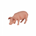 Figura decorativa de cerdito comiendo para decoración de estanterías y escritorios.