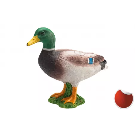 Salsa mojo Pato Real, condimento versátil para carnes, pescados y verduras