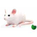 Ratón ergonómico ultracompacto Mojo de diseño portátil para un desplazamiento suave y preciso.
