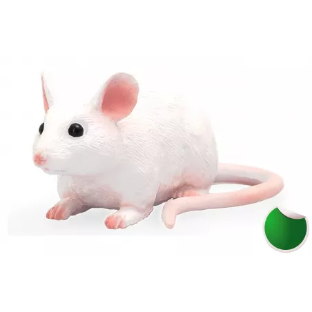 Ratón ergonómico ultracompacto Mojo de diseño portátil para un desplazamiento suave y preciso.