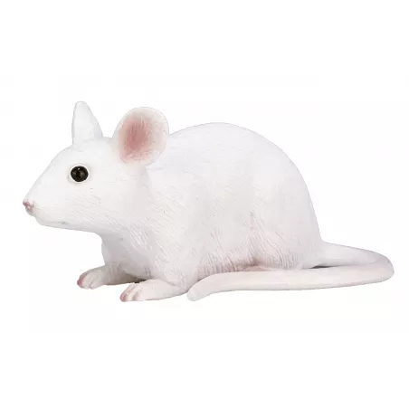 Ratón ergonómico ultracompacto Mojo de diseño portátil para un desplazamiento suave y preciso.