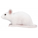 Ratón ergonómico ultracompacto Mojo de diseño portátil para un desplazamiento suave y preciso.