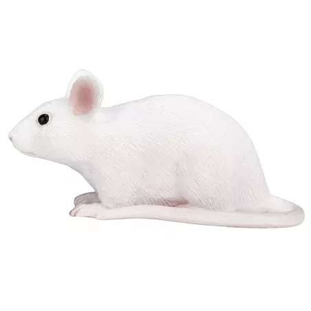 Ratón ergonómico ultracompacto Mojo de diseño portátil para un desplazamiento suave y preciso.