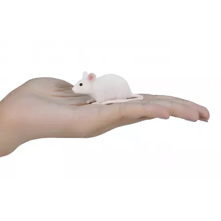 Ratón ergonómico ultracompacto Mojo de diseño portátil para un desplazamiento suave y preciso.