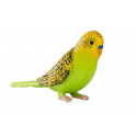 Periquito verde | Modelo 7x4x2 cm con patrón estriado