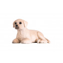 Figura realista de cachorro labrador de juguete para coleccionistas y niños.