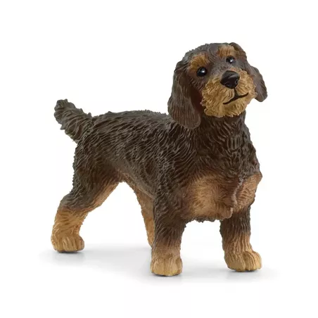 Figura realista de teckel de pelo duro de Schleich, juguete coleccionable de perro.