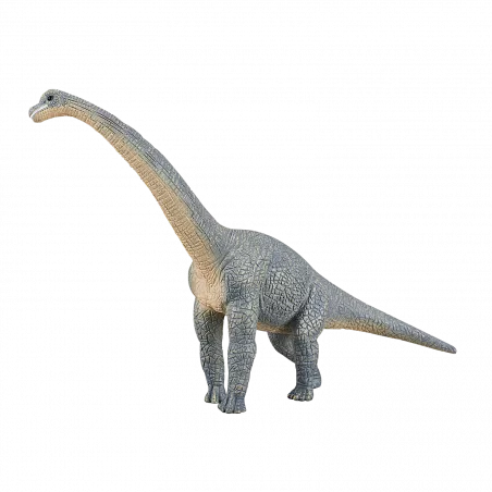 Figura realista de dinosaurio Braquiosaurio de Mojo pintada a mano para coleccionistas y niños.