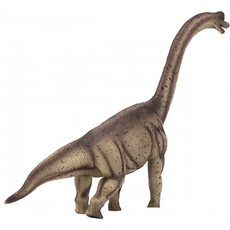 Figura realista del dinosaurio Deluxe Brachiosaurus de Mojo para coleccionistas.