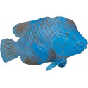 Figura realista de pez Groper azul para coleccionistas y decoración marina.