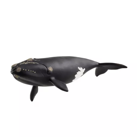 Figura de juguete de ballena franca glacial Schleich pintada a mano para niños y coleccionistas