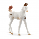 Figura de potro Marwari de Schleich, juguete detallado de colección