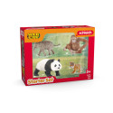 Set de iniciación Asia de Schleich con figuras de juguete de león, cebra, cría de elefante y cachorro de chimpancé.