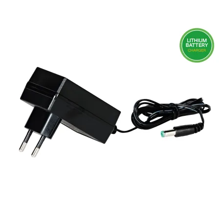 Cargador original de 6V Peg-Pérego para batería de coche eléctrico infantil