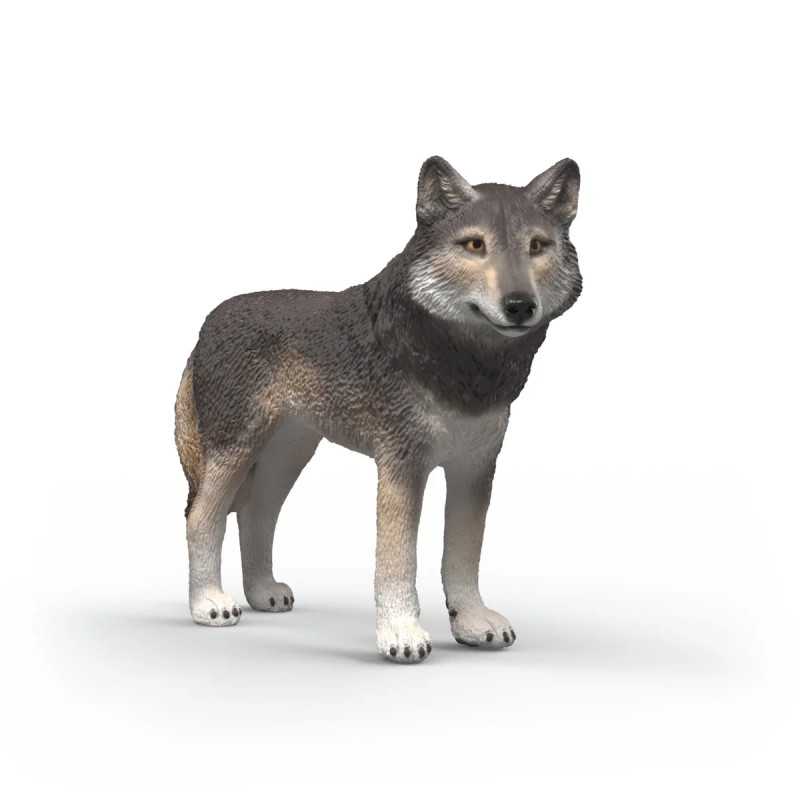 Lobo americano
