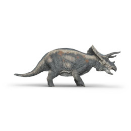 Triceratops