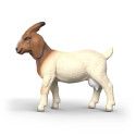 Figura de juguete de cabra bóer realista de Schleich para coleccionar y jugar.