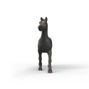 Yegua purasangre inglesa | Equino oscuro 16,5 cm