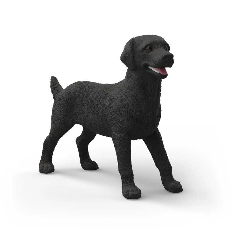 Labrador Retriever hembra negra