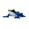 Figura realista de rana dardo venenosa azul pintada a mano para coleccionistas