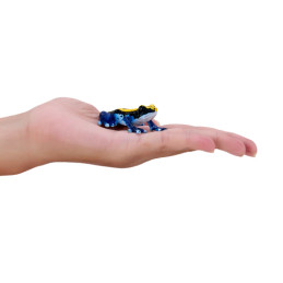 Rana dardo venenosa azul