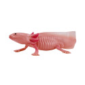 Figura realista de ajolote pintada a mano para coleccionistas y amantes de la naturaleza.