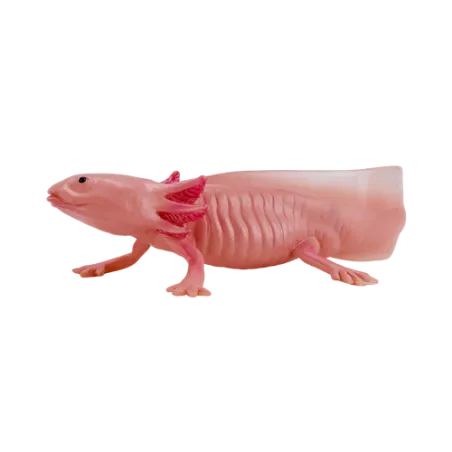 Figura realista de ajolote pintada a mano para coleccionistas y amantes de la naturaleza.