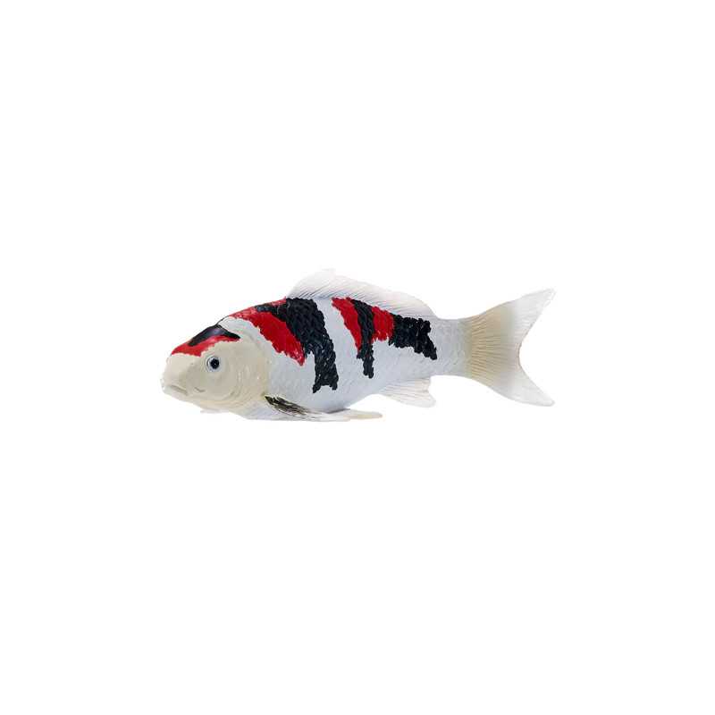 Carpa Koi - Showa Sanshoku