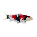 Figura decorativa de carpa Koi Showa Sanshoku pintada a mano con patrón tricolor japonés.