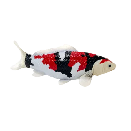 Figura decorativa de carpa Koi Showa Sanshoku pintada a mano con patrón tricolor japonés.