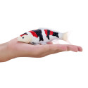 Figura decorativa de carpa Koi Showa Sanshoku pintada a mano con patrón tricolor japonés.
