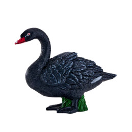 Cisne Negro