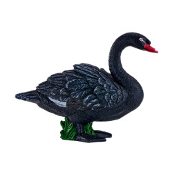 Cisne Negro