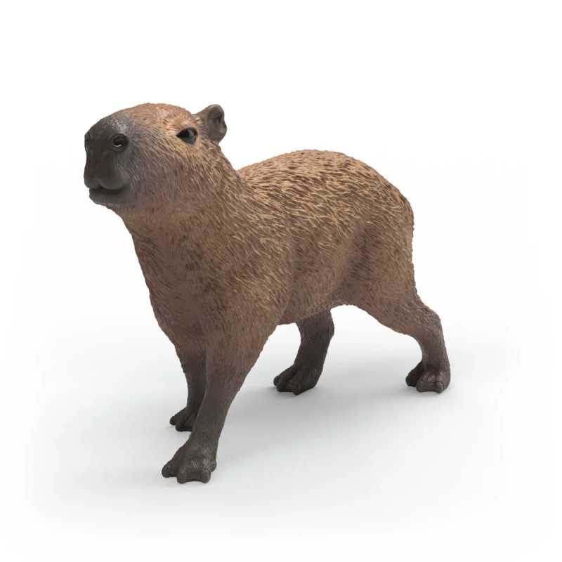 Capibara Capibara