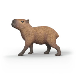 Capibara Capibara