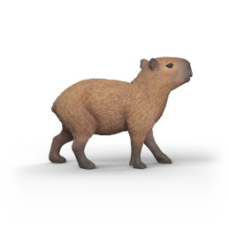Capibara Capibara
