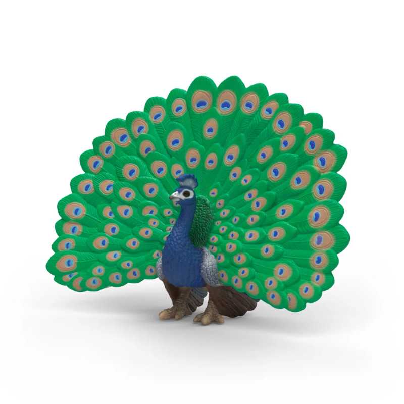 Pavo real