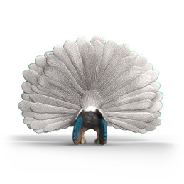 Pavo real