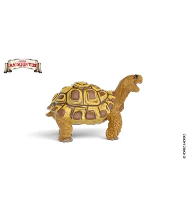 Henrietta la Tortuga