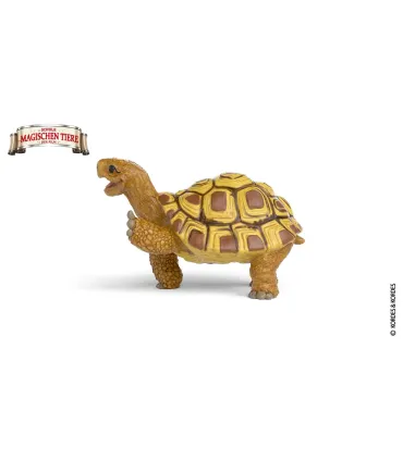 Henrietta la Tortuga
