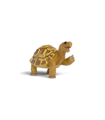 Henrietta la Tortuga