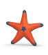 Estrella de mar que cambia de color