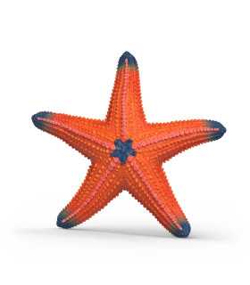 Estrella de mar que cambia de color